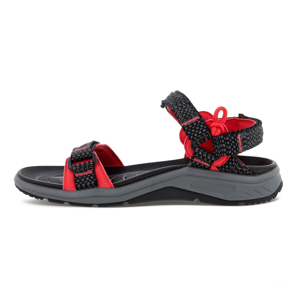 Sandalias Mujer - ECCO X-Trinsic 3S Water - Negros - PCI961340